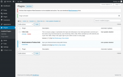 Page screenshot: Plugins ‹ Test site — WordPress