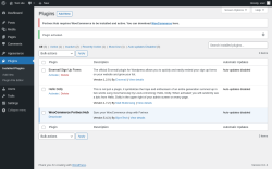 Page screenshot: Plugins ‹ Test site — WordPress