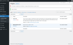 Page screenshot: Plugins &lsaquo; Test site &mdash; WordPress