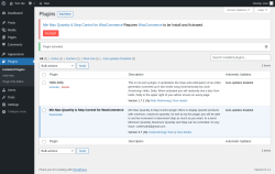 Page screenshot: Plugins &lsaquo; Test site &mdash; WordPress