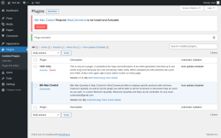 Page screenshot: Plugins &lsaquo; Test site &mdash; WordPress
