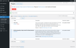 Page screenshot: Plugins &lsaquo; Test site &mdash; WordPress