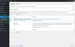 Page screenshot: Plugins &lsaquo; Test site &mdash; WordPress
