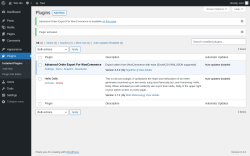 Page screenshot: Plugins &lsaquo; Test site &mdash; WordPress