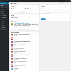 Page screenshot: Dashboard &lsaquo; Test site &mdash; WordPress