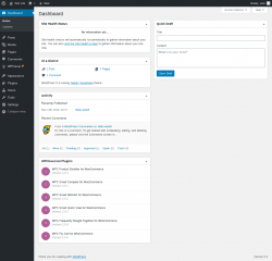 Page screenshot: Dashboard &lsaquo; Test site &mdash; WordPress