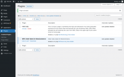 Page screenshot: Plugins &lsaquo; Test site &mdash; WordPress