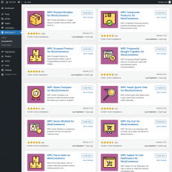 Page screenshot: WPClever &rarr; Essential Kit