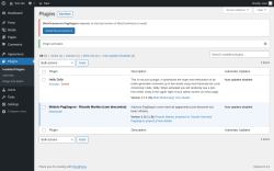 Page screenshot: Plugins ‹ Test site — WordPress
