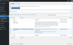 Page screenshot: Plugins ‹ Test site — WordPress