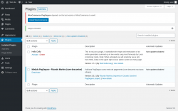 Page screenshot: Plugins ‹ Test site — WordPress