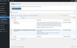 Page screenshot: Plugins ‹ Test site — WordPress