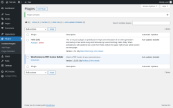 Page screenshot: Plugins &lsaquo; Test site &mdash; WordPress