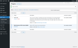Page screenshot: Plugins &lsaquo; Test site &mdash; WordPress