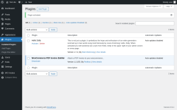 Page screenshot: Plugins &lsaquo; Test site &mdash; WordPress