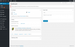 Page screenshot: Dashboard ‹ Test site — WordPress