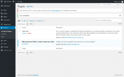 Page screenshot: Plugins &lsaquo; Test site &mdash; WordPress