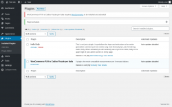 Page screenshot: Plugins &lsaquo; Test site &mdash; WordPress