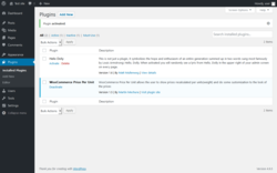 Page screenshot: Plugins &lsaquo; Test site &mdash; WordPress
