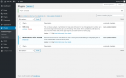 Page screenshot: Plugins &lsaquo; Test site &mdash; WordPress