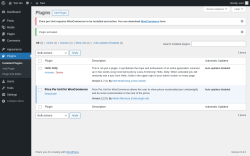 Page screenshot: Plugins &lsaquo; Test site &mdash; WordPress