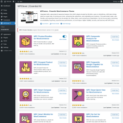 Page screenshot: WPClever → Essential Kit