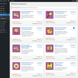 Page screenshot: WPClever &rarr; Essential Kit