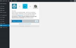 Page screenshot: Reviewshort ‹ Test site — WordPress