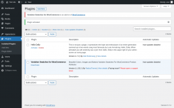 Page screenshot: Plugins &lsaquo; Test site &mdash; WordPress
