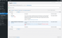 Page screenshot: Plugins &lsaquo; Test site &mdash; WordPress