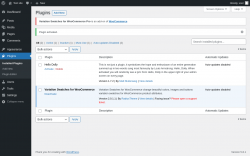 Page screenshot: Plugins &lsaquo; Test site &mdash; WordPress
