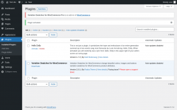 Page screenshot: Plugins &lsaquo; Test site &mdash; WordPress