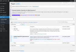 Page screenshot: Plugins &lsaquo; Test site &mdash; WordPress
