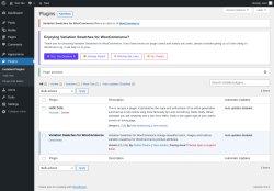 Page screenshot: Plugins &lsaquo; Test site &mdash; WordPress
