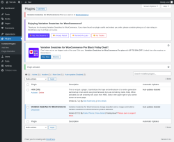 Page screenshot: Plugins &lsaquo; Test site &mdash; WordPress