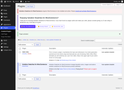 Page screenshot: Plugins &lsaquo; Test site &mdash; WordPress