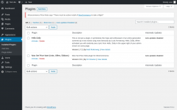 Page screenshot: Plugins &lsaquo; Test site &mdash; WordPress