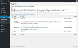 Page screenshot: Plugins ‹ Test site — WordPress