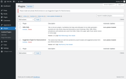 Page screenshot: Plugins &lsaquo; Test site &mdash; WordPress