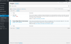 Page screenshot: Plugins &lsaquo; Test site &mdash; WordPress