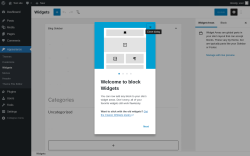 Page screenshot: Widgets &lsaquo; Test site &mdash; WordPress