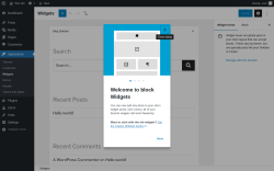 Page screenshot: Widgets &lsaquo; Test site &mdash; WordPress