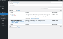 Page screenshot: Plugins ‹ Test site — WordPress