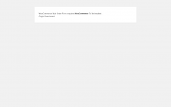 Page screenshot: WordPress › Error