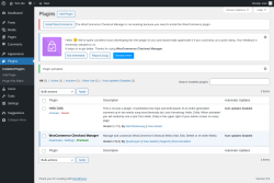 Page screenshot: Plugins &lsaquo; Test site &mdash; WordPress