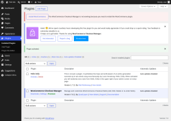 Page screenshot: Plugins &lsaquo; Test site &mdash; WordPress
