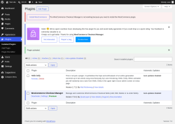 Page screenshot: Plugins &lsaquo; Test site &mdash; WordPress