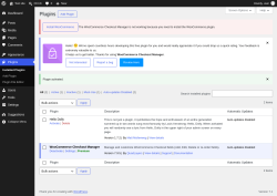 Page screenshot: Plugins &lsaquo; Test site &mdash; WordPress