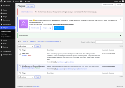 Page screenshot: Plugins &lsaquo; Test site &mdash; WordPress