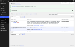 Page screenshot: Plugins &lsaquo; Test site &mdash; WordPress
